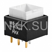 UB215SKG035F